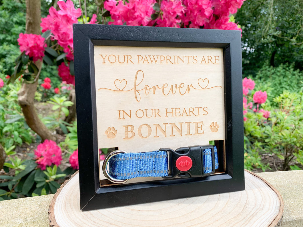 Personalised Dog Collar Memorial Frame - Next Day Delivery Available